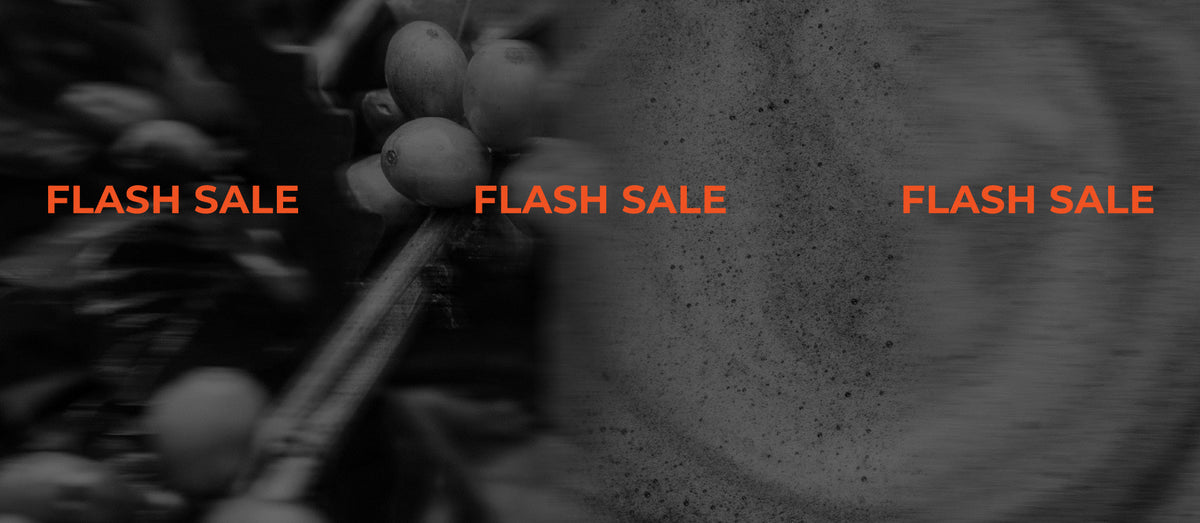 FLASH SALE 50% OFF