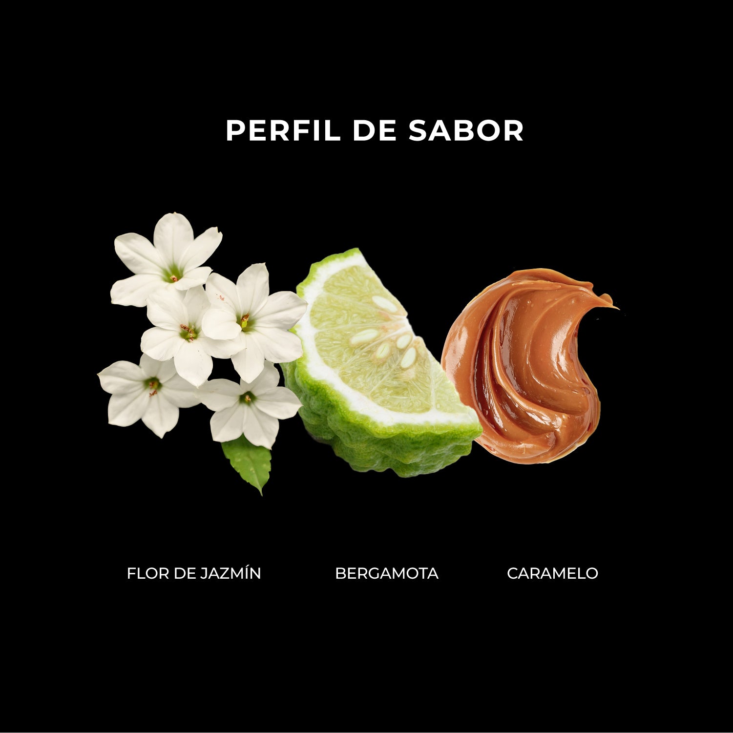 Colombia La Floresta