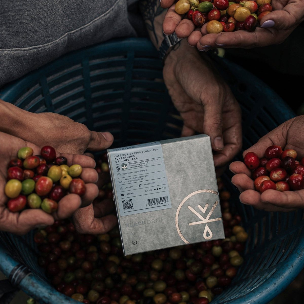 Café de Honduras Proyecto Jovenes Lideres - Blackdrop Coffee