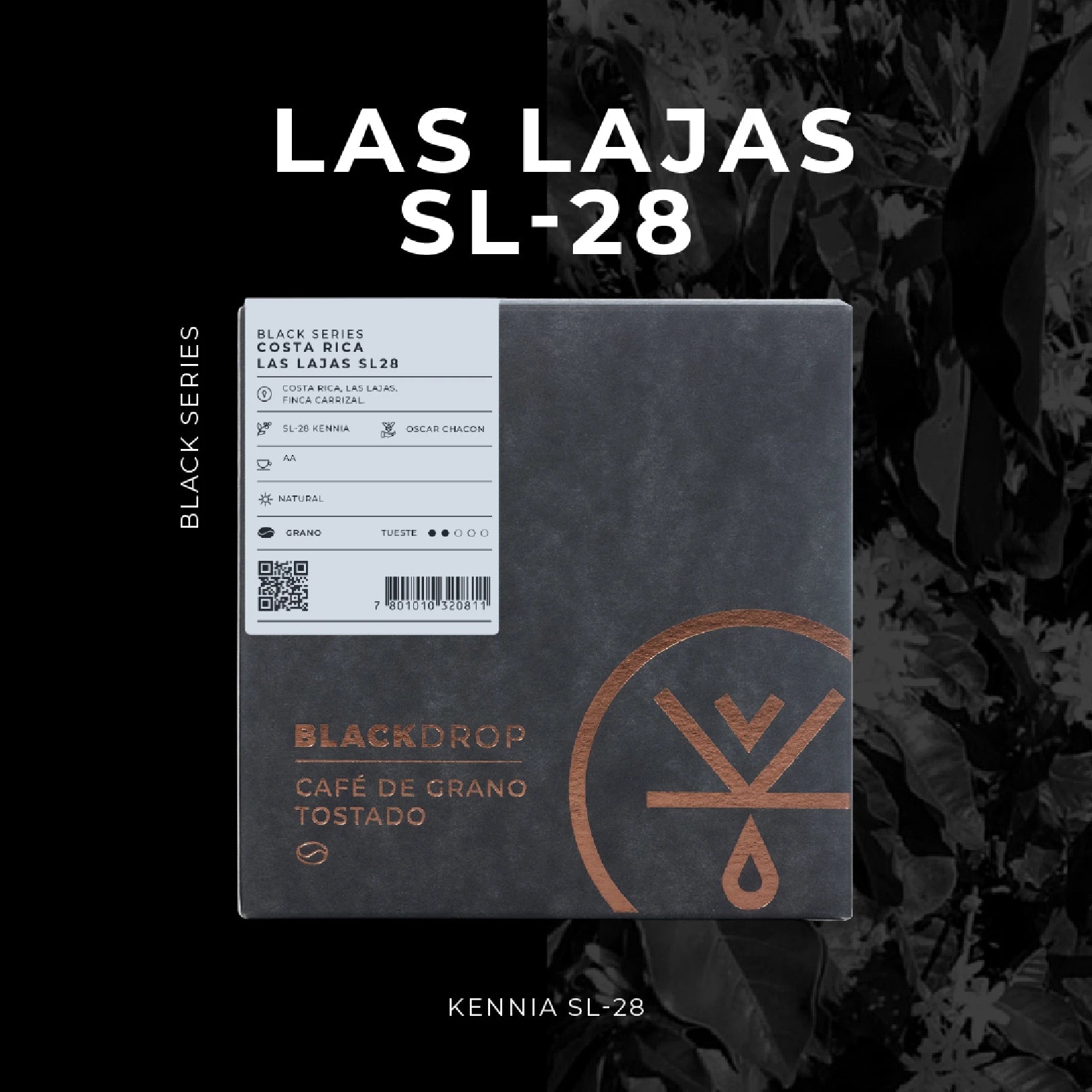 Café de Costa Rica Las Lajas SL-28 - Blackdrop