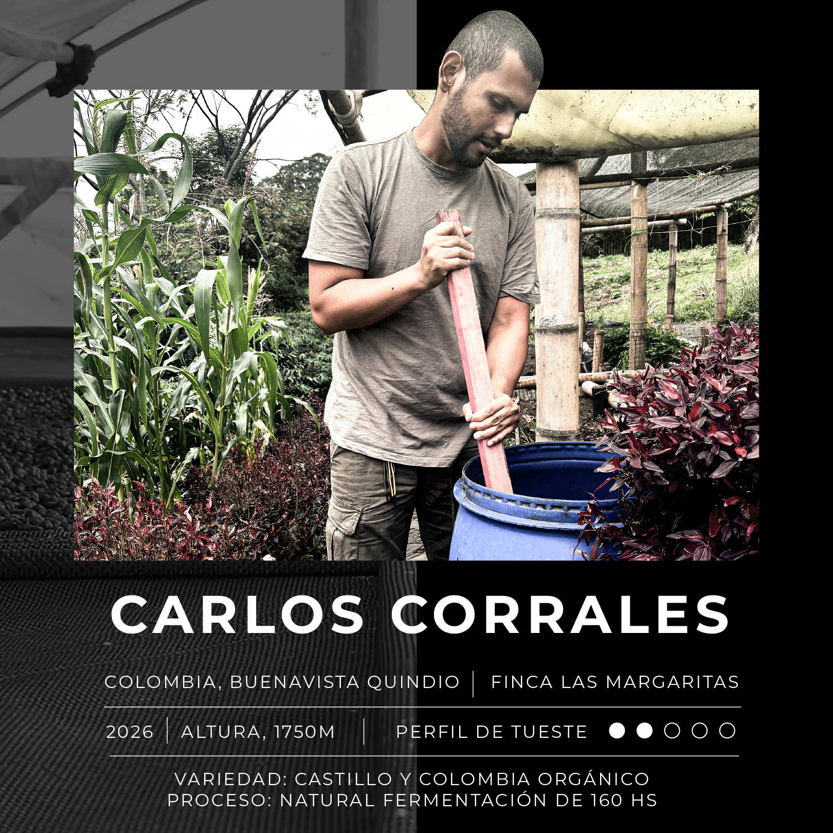 Colombia La Margarita - Blackdrop