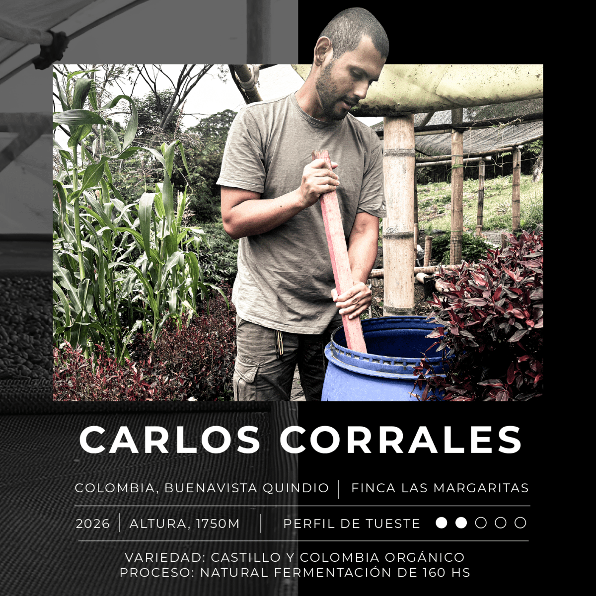 Colombia La Margarita - Blackdrop Coffee