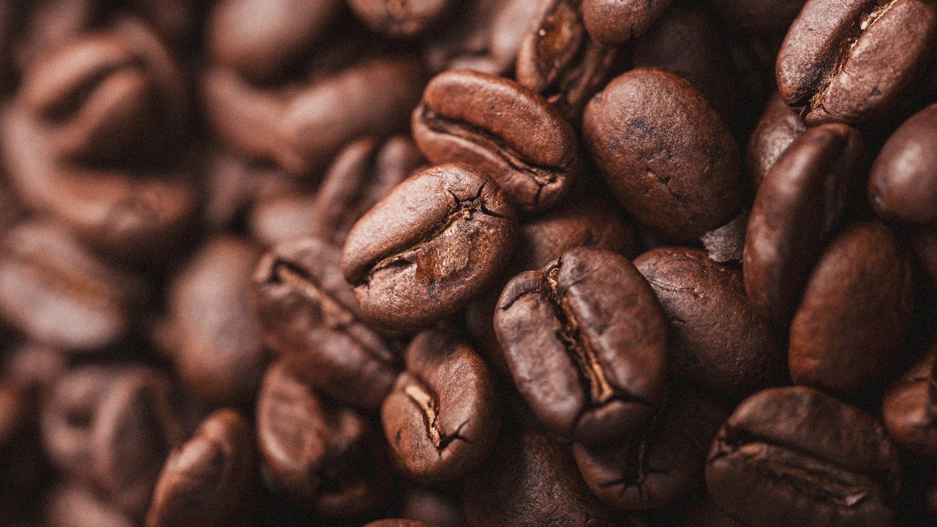 CAFÉ MOLIDO & GRANO