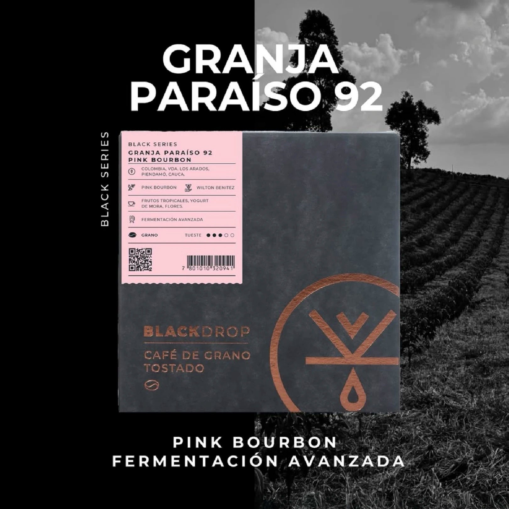 Colombia Granja Paraiso Pink Bourbon - Blackdrop