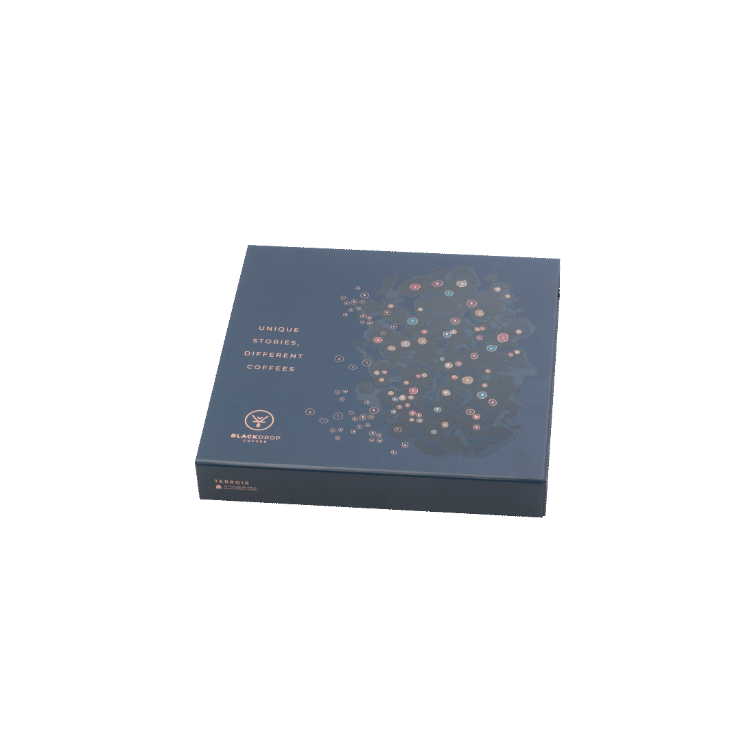 Caja Navidad 36 Cápsulas para Nespresso