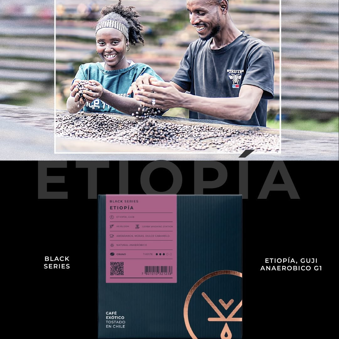 cafe de especialidad de etiopia