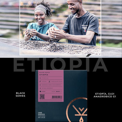 cafe de especialidad de etiopia