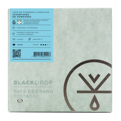 Café de Honduras proyecto jovenes lideres - Blackdrop