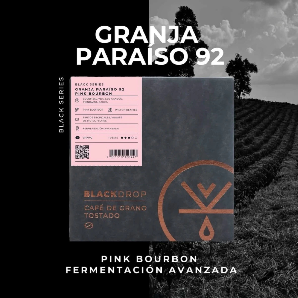 Colombia Granja Paraiso Pink Bourbon - Blackdrop Coffee