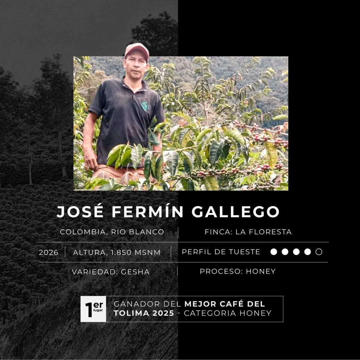 Colombia La Floresta - Blackdrop Coffee