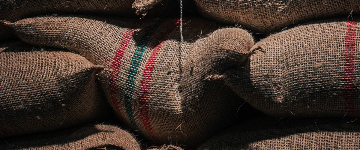 Café de grano blend