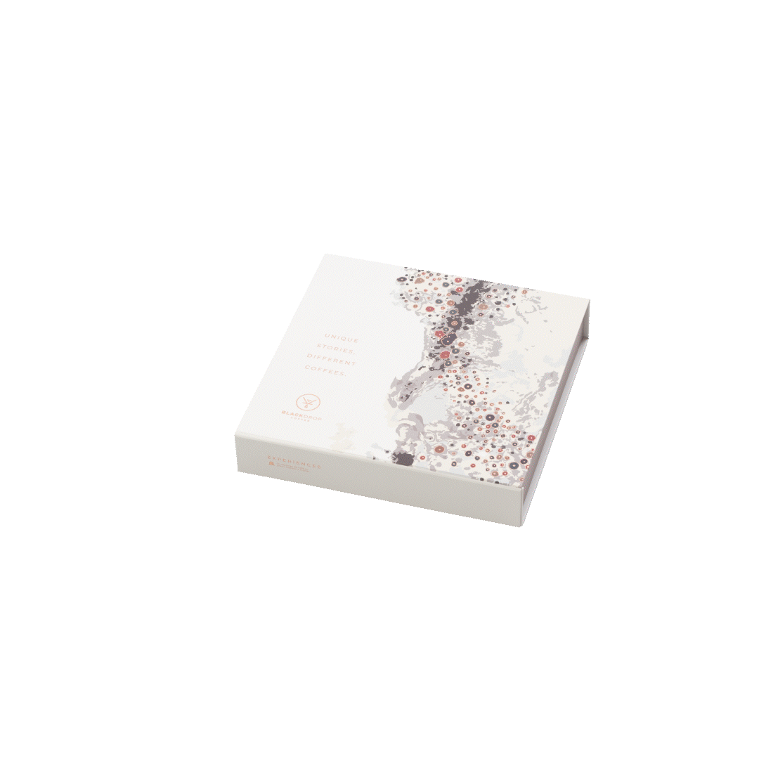 Caja Navidad 25 Cápsulas para Nespresso