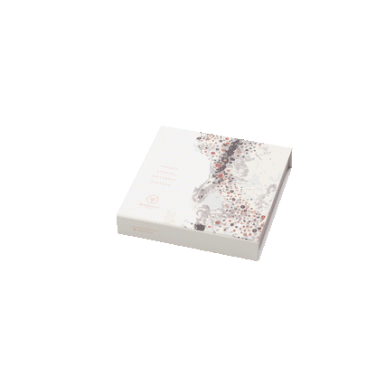 Caja Navidad 25 Cápsulas para Nespresso