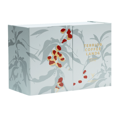 Pack 3 Doypacks TERROIR MOLIDO - Blackdrop